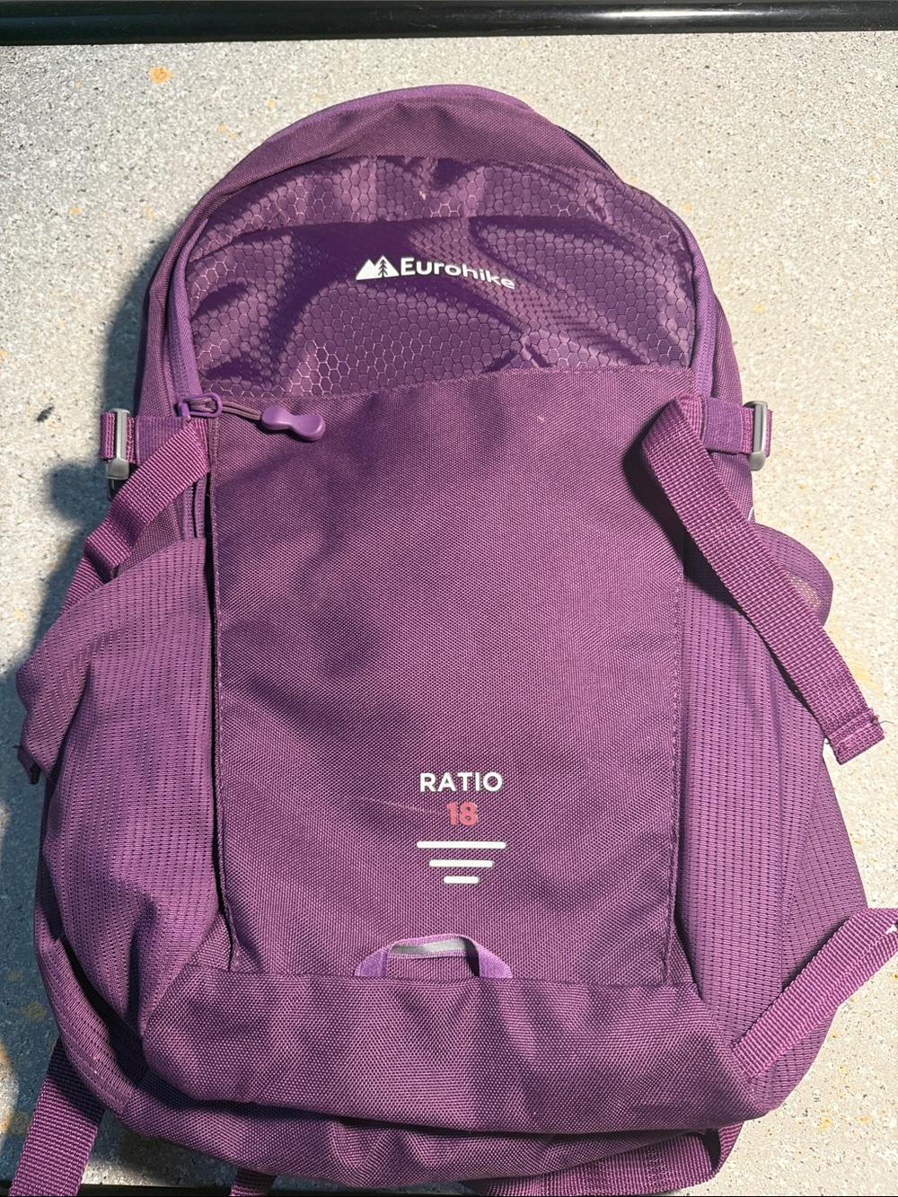 Ratio 18 Men's Purple Backpack